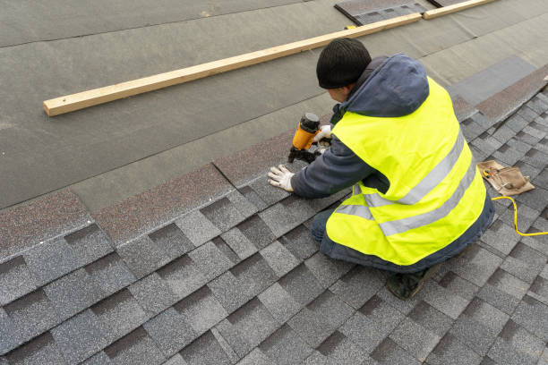 Best Roof Gutter Cleaning  in Brodheadsville, PA