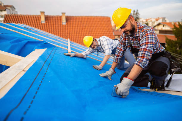 Best Local Roofing Companies  in Brodheadsville, PA