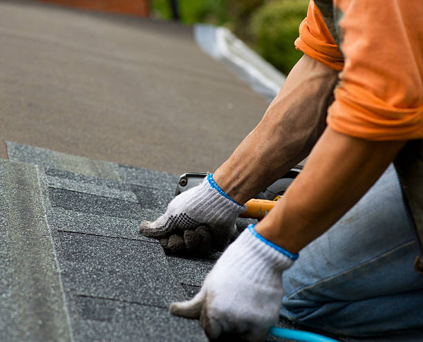 Best Gutter Installation and Roofing  in Brodheadsville, PA